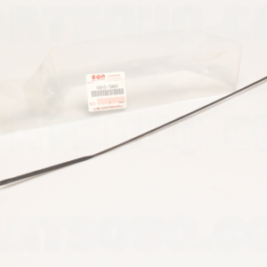 Suzuki Oil Level Gauge