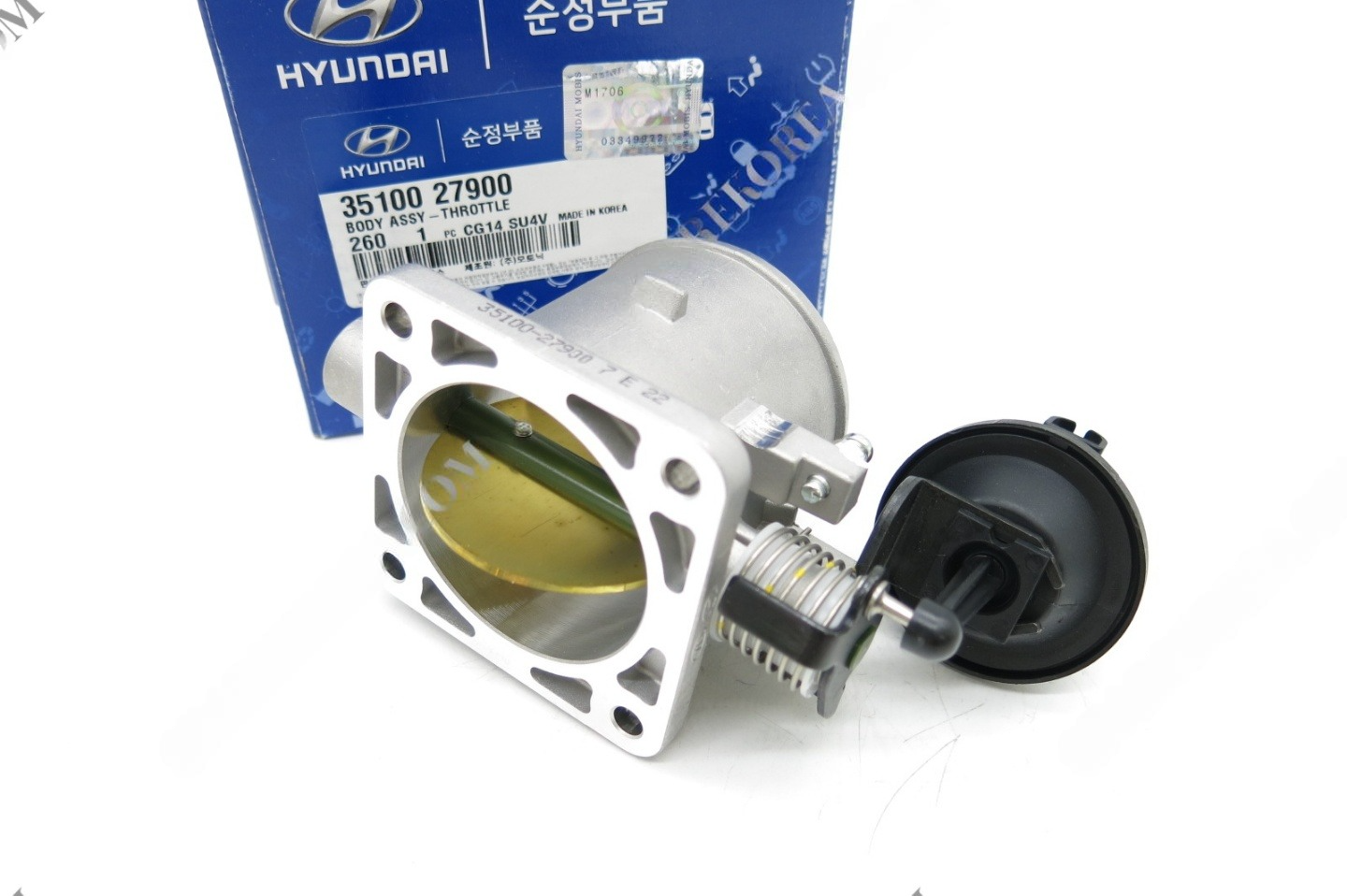 KIA/Hyundai Throttle Body