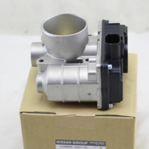 Nissan Throttle Body